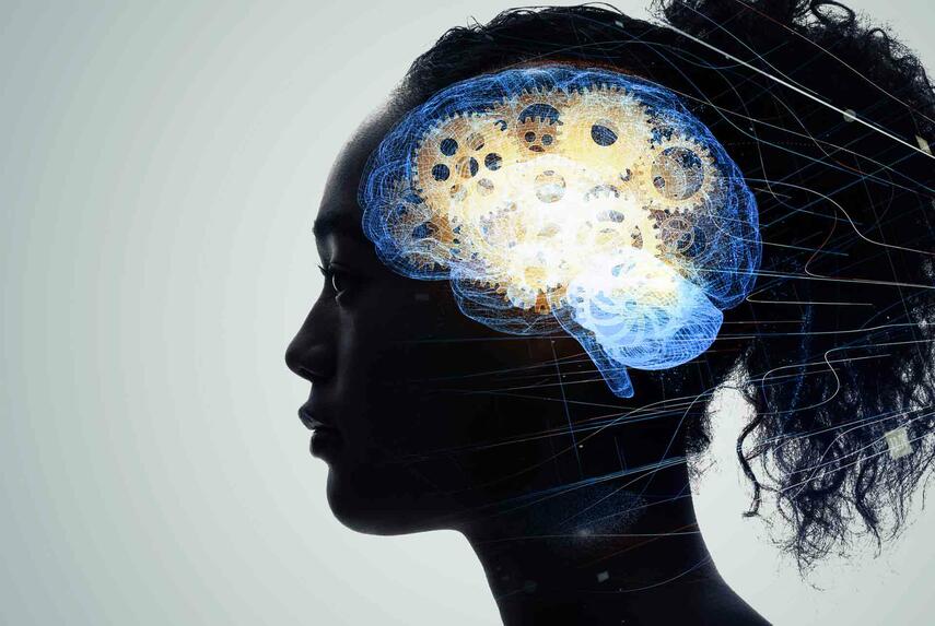 Kreiskulturzentrum Sinsteden: Vortrag über die Mythen der Psychiatrie