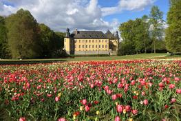 Terminvorschau August 2025 - Stiftung Schloss Dyck